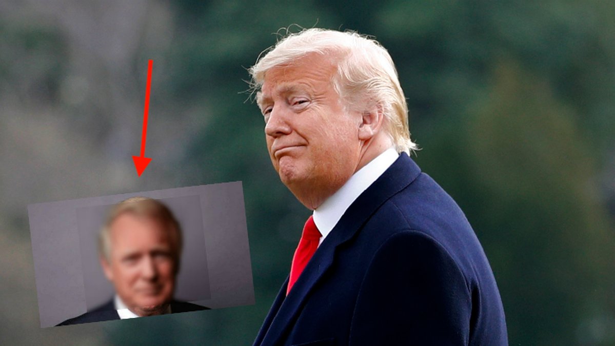 Bilden på Trump med "vanligt" hår gör succé.